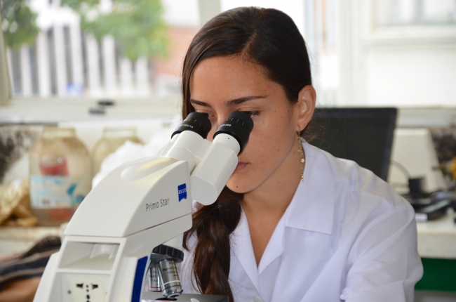 Investigaciones