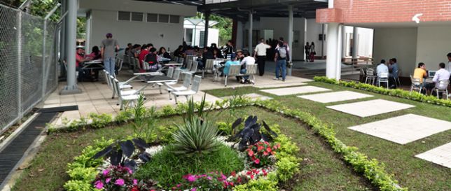 Zonas de estudio